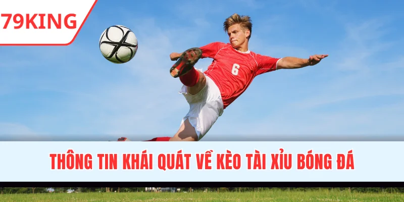 Thông tin khái quát về kèo Tài Xỉu bóng đá